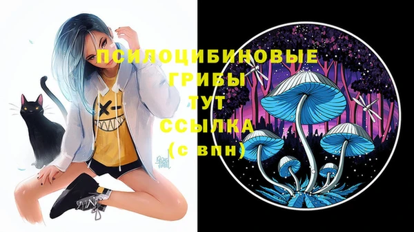 прущая мука Арсеньев